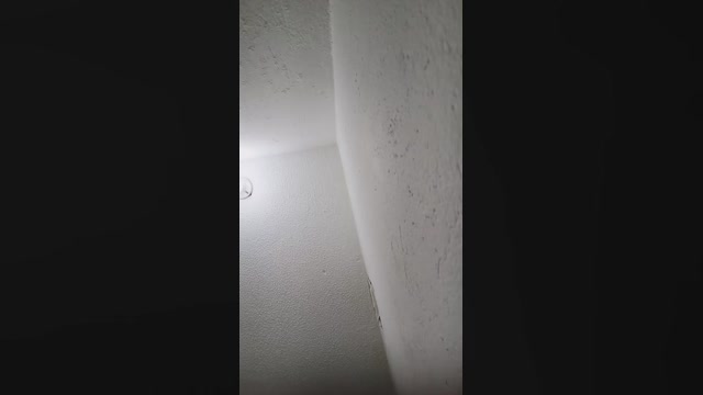 sweet_scarlett_  03-06-2022